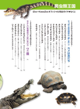 三栄ムック 爬虫類王国 iZoo+KawaZooオフィシャル完全ガイド 三栄ムック 爬虫類王国 iZoo+KawaZooオフィシャル完全ガイド